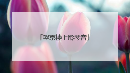望京楼上聆琴音